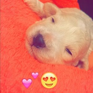 Meet your Posher, Ana